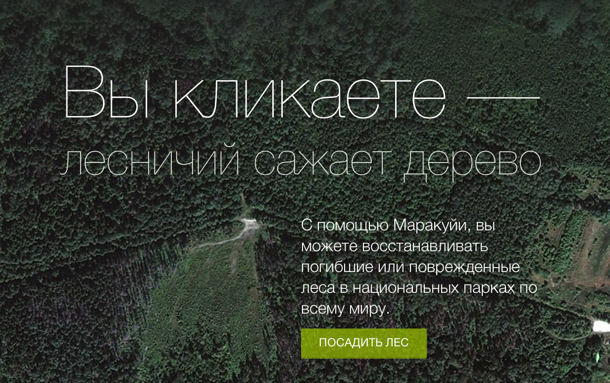 «Маракуйя» приглашает 5 октября посадить лес Путина