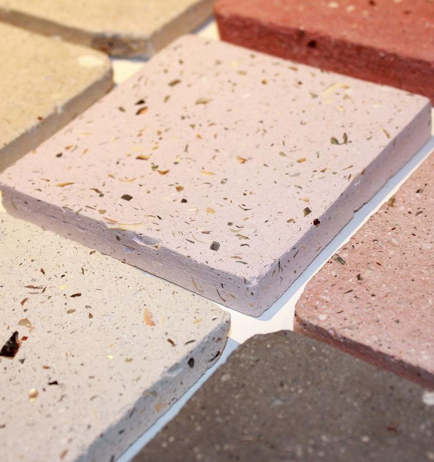 Британские дизайнеры заменяют бетон морскими ракушками