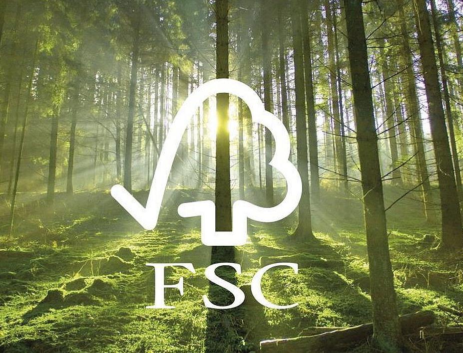 ​ Итоги года от FSC: Россия вышла на первое место в мире по площади FSC-сертифицированных лесов