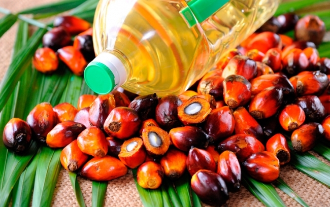 Ссылка дня: В чем вред пальмового масла для экологии и здоровья