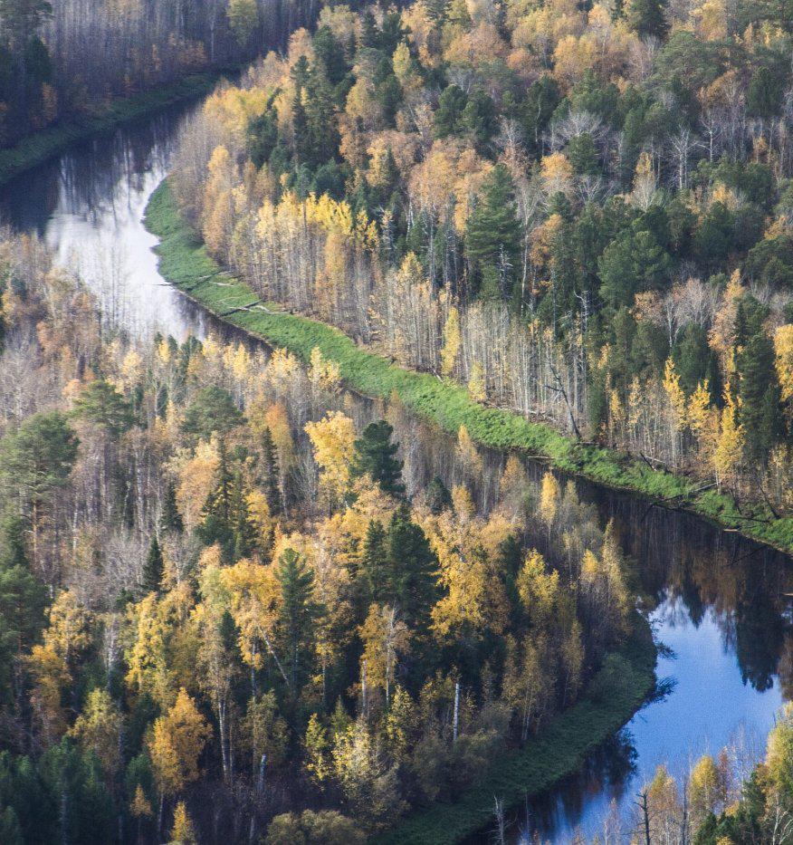 На нацпроект «Экология» выделят 380 миллиардов рублей из бюджета