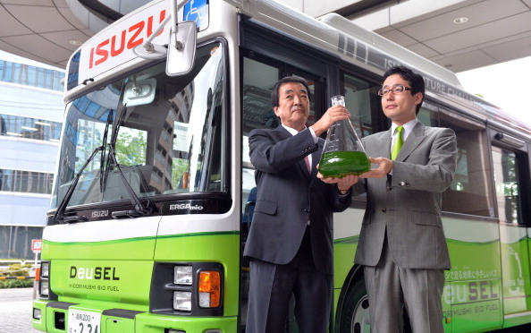 В Японии появился автобус на биотопливе из водорослей