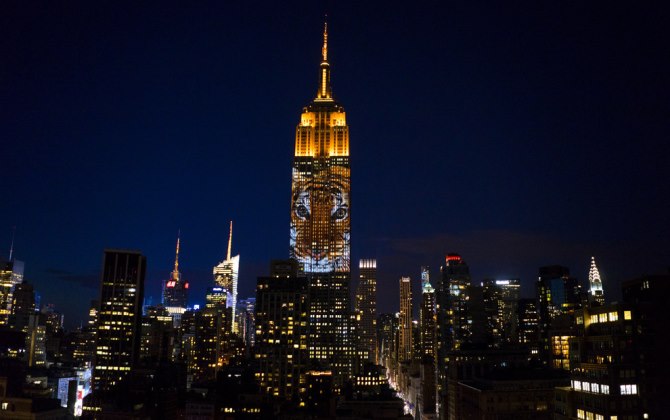 10 фото исчезающих видов животных на главном небоскребе Нью-Йорка