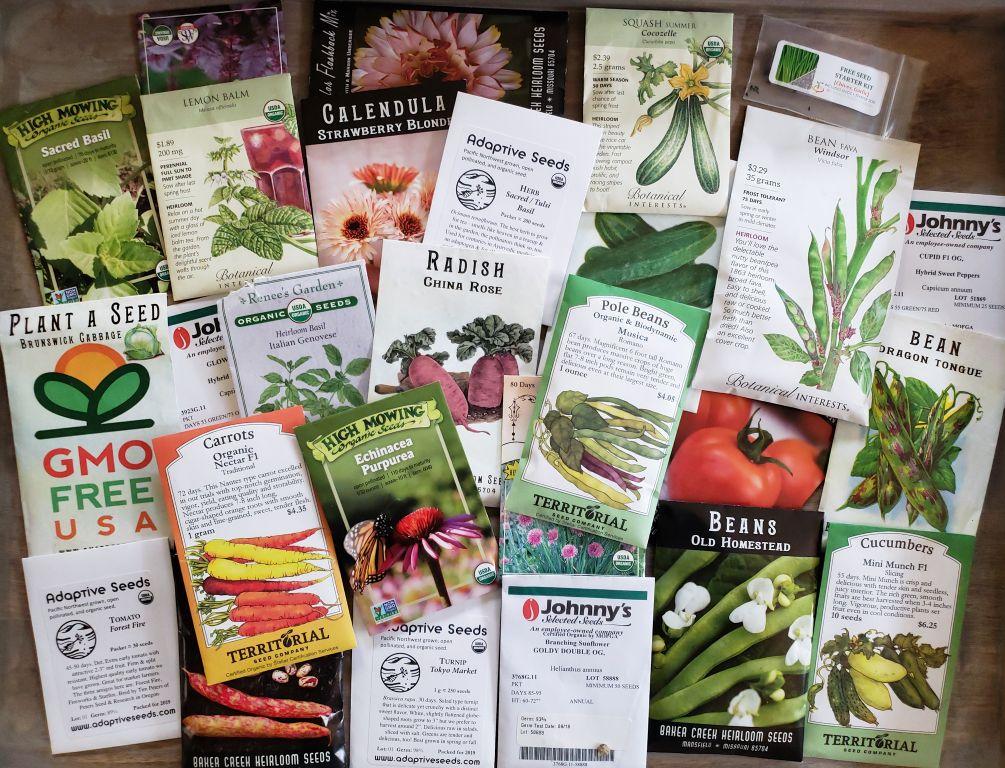 5 интернет-магазинов, в которых можно купить органические семена