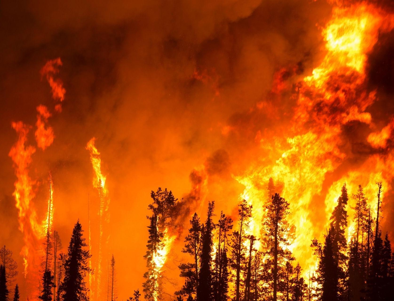 Рослесхоз подготовил прогноз пожароопасности до конца 2020 года