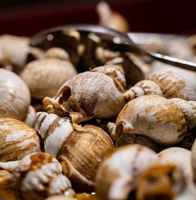 Алтайские ученые изобретают новый фильтр из отходов улиточных ферм 