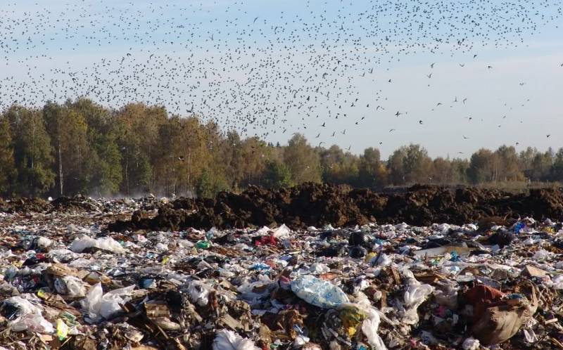 На «Флаконе» расскажут о сортировке и переработке мусора в России