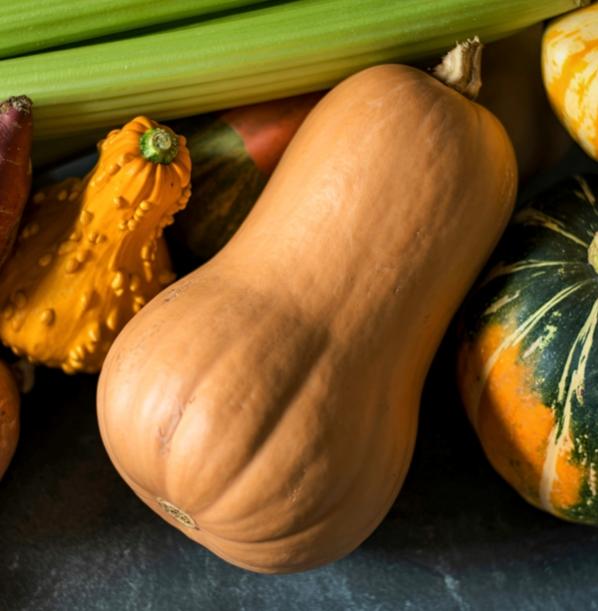 Еда будущего: как климатический кризис изменит пищевые привычки 