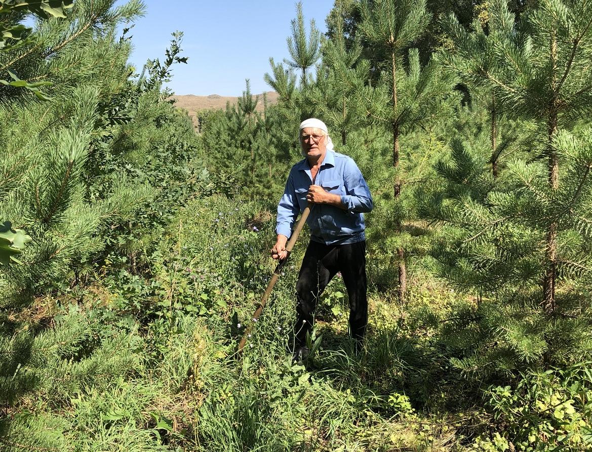 Житель Алтайского края Юрий Квасов за 16 лет высадил целый лес
