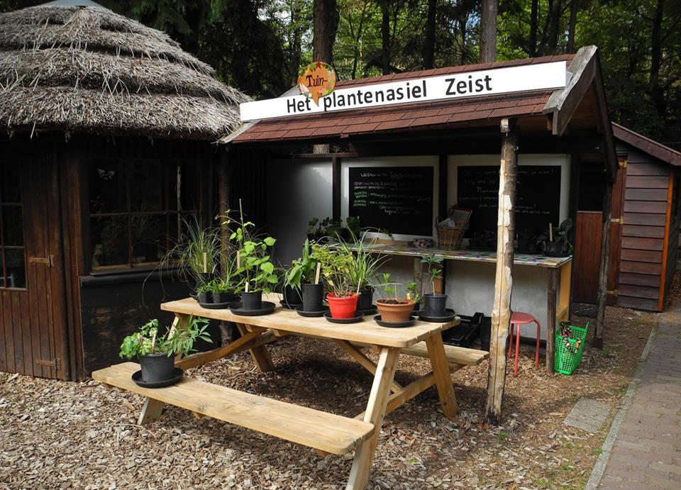 В Голландии открылся питомник для обмена ненужными растениями