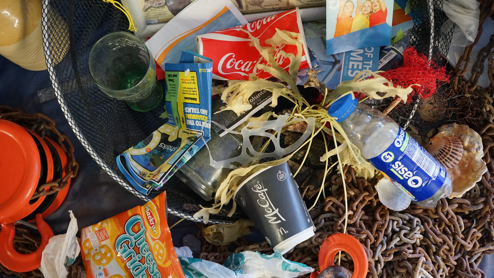 ООН запустила кампанию #CleanSeas по очистке океана от пластика