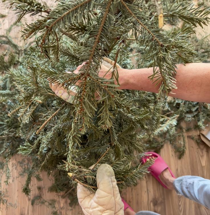 В Москве пройдет традиционная акция «Елочный круговорот» 