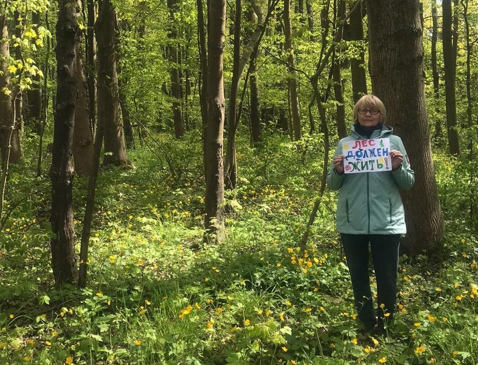 Флешмоб: как жители прибалтийского города хотят защитить старинный лес