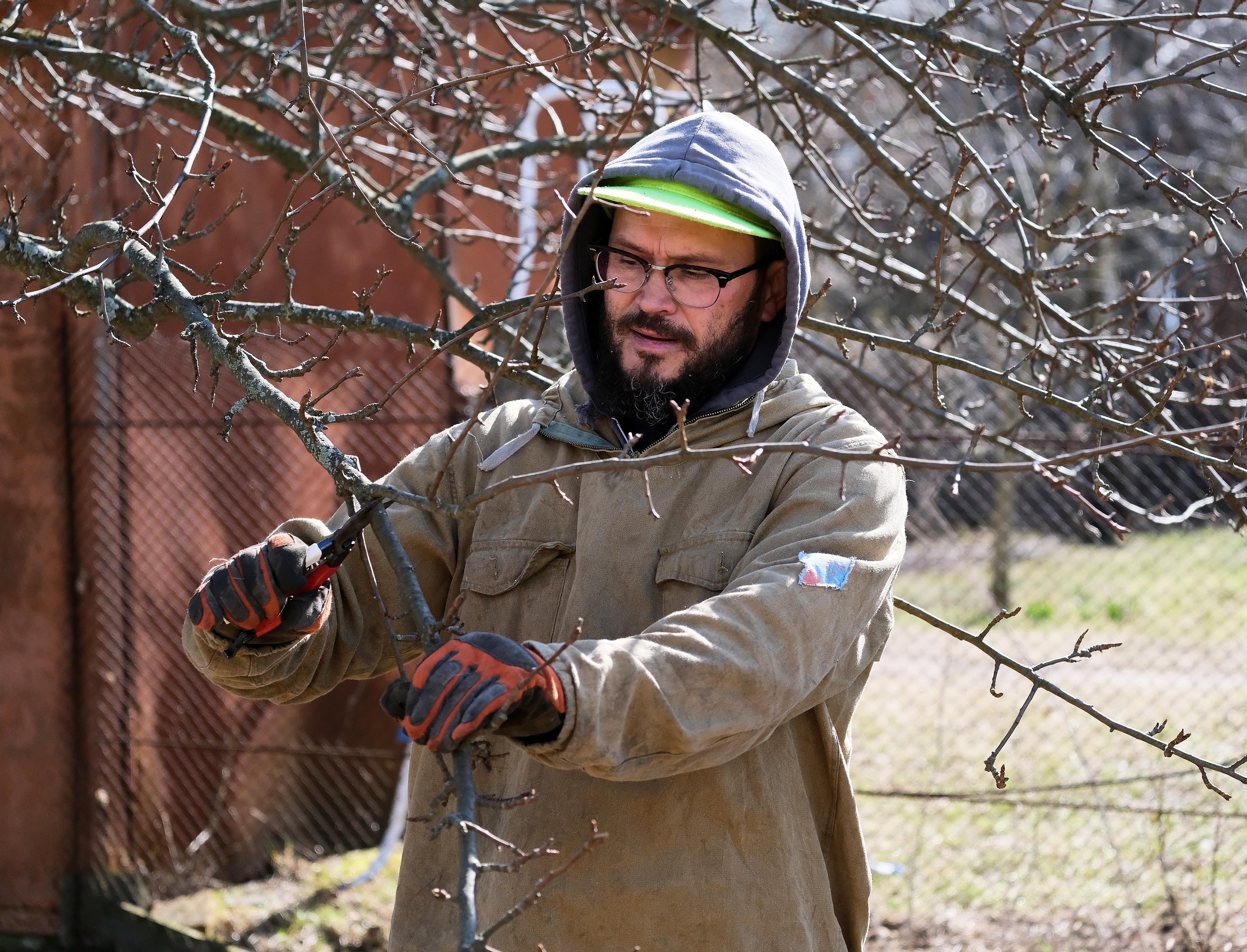Дмитрий Звонка: «Многим активистам не хватает знаний о деревьях»