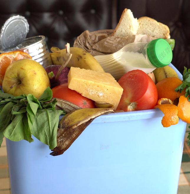 Анна Гаркуша: третий бак не решит проблему переработки пищевых отходов