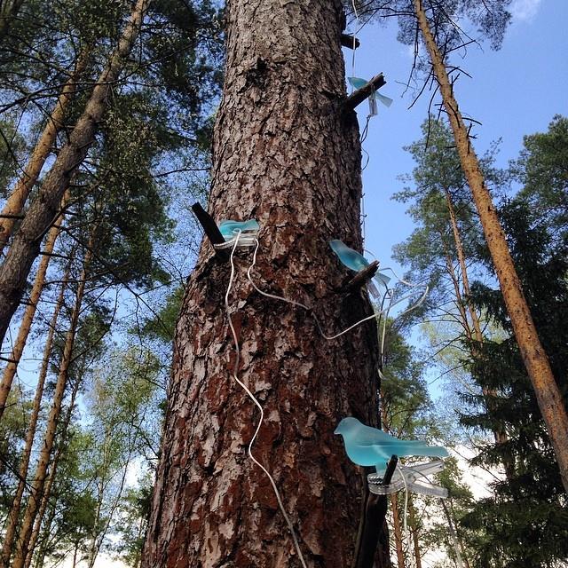 Instagram дня: Антон Красовский недоволен гирляндой ИКЕА на солнечной батарее
