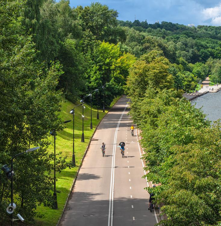 ТОП-5 экологически чистых мест для прогулок в Москве 