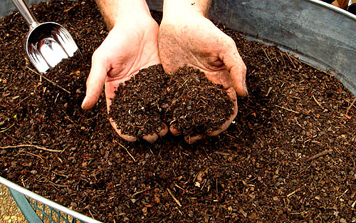 Ссылка дня: как правильно делать компост из пищевых отходов?