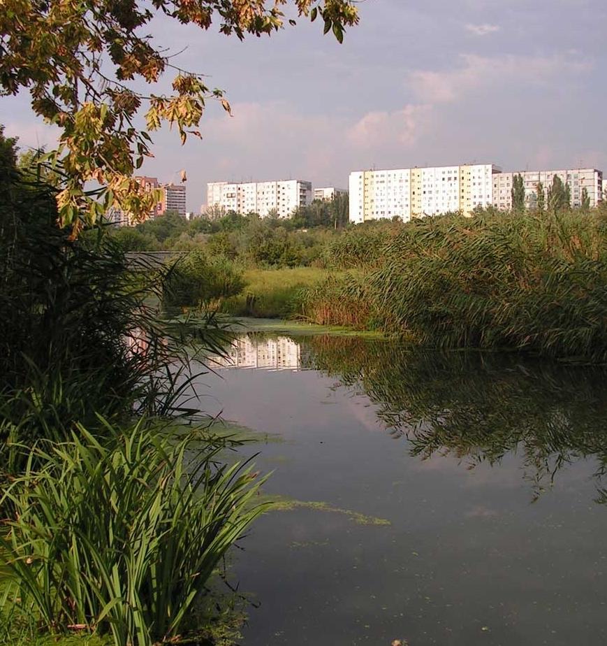 На реке Темерник в Ростове создается экопарк