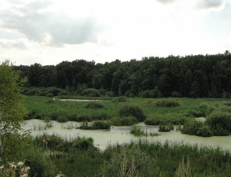 В Москве созданы 18 новых особо охраняемых природных территорий