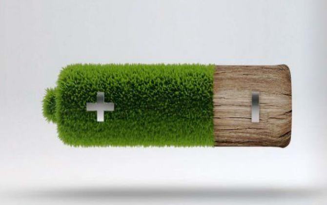 Вещь дня: экологичные батарейки из дерева