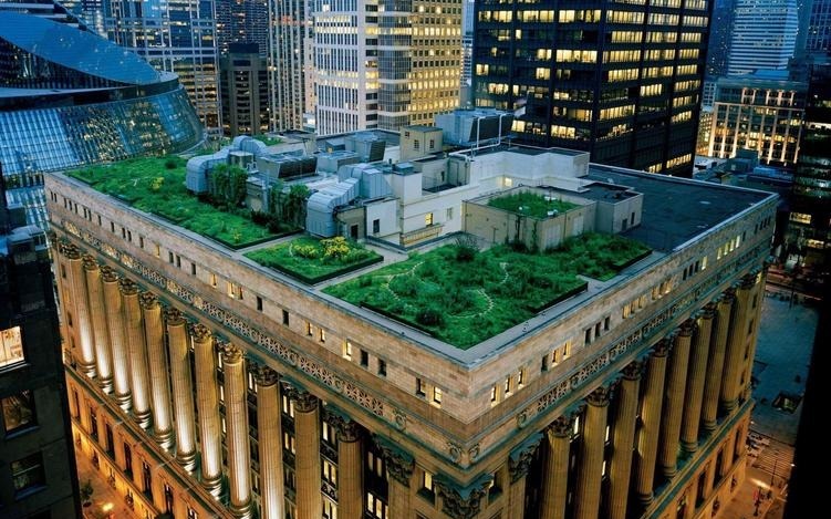 «Йополис» запустил новый экологический проект «Сад на крыше»