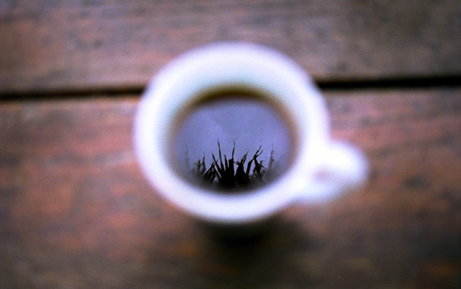 15 способов экологичного использования кофейной гущи