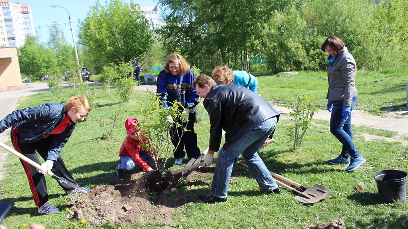 Больше миллиона саженцев деревьев посадят 29 апреля в Подмосковье
