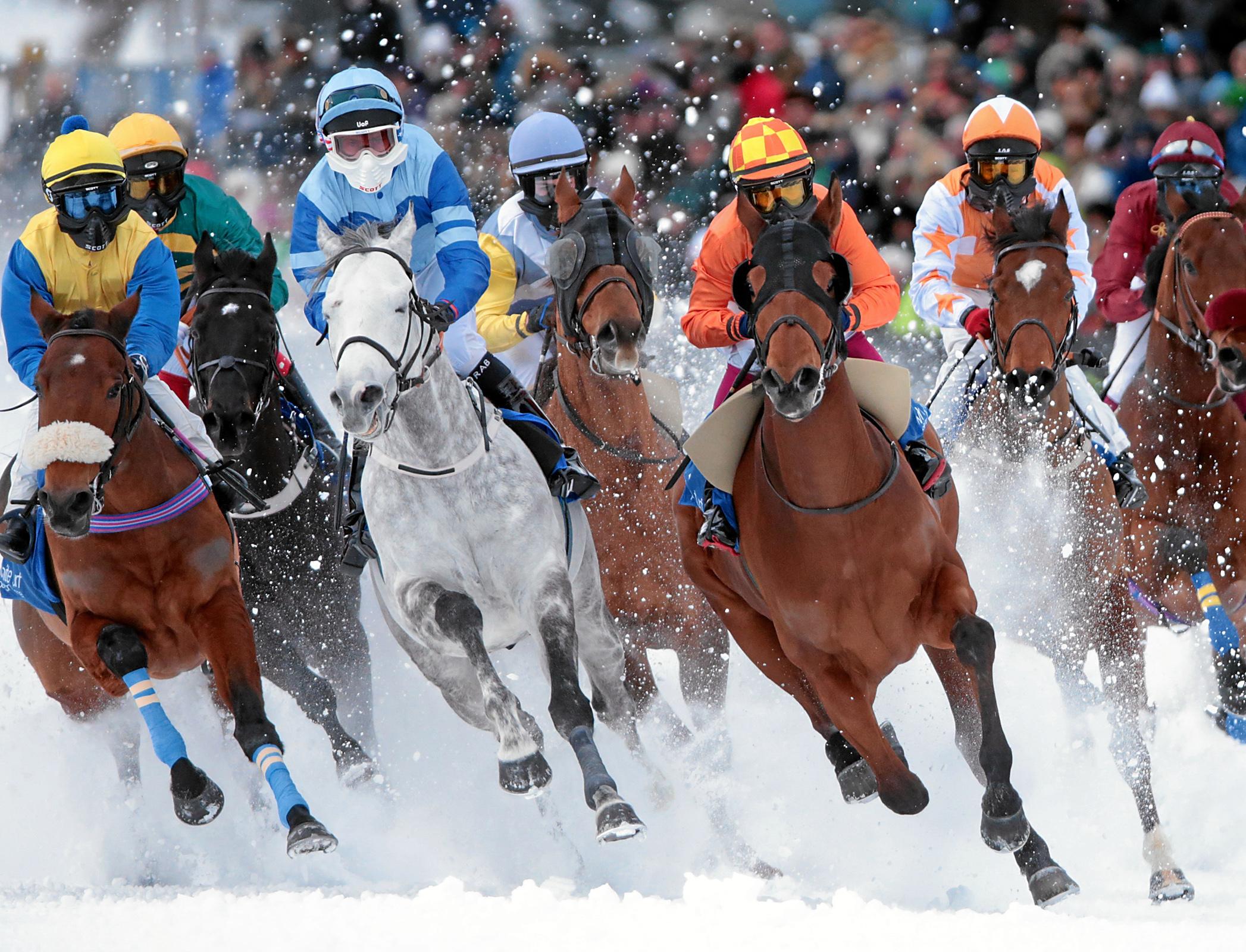 Климатический кризис поставил под угрозу элитные конные гонки в Швейцарии 