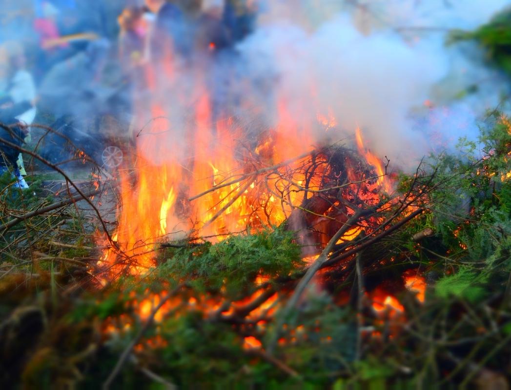 Россиян научат тушить лесные пожары
