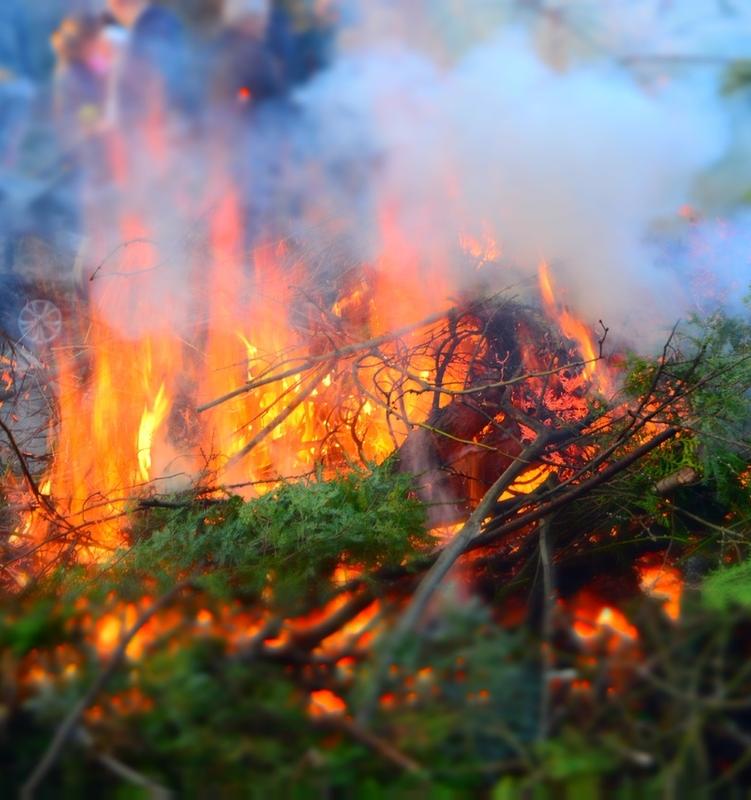 Россиян научат тушить лесные пожары