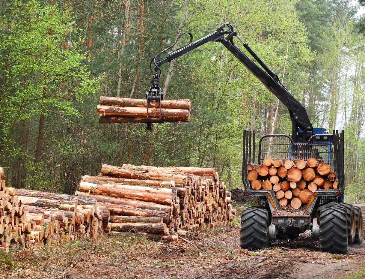 425 тысяч упаковок «ФрутоНяня» помогли восстановить лес в России