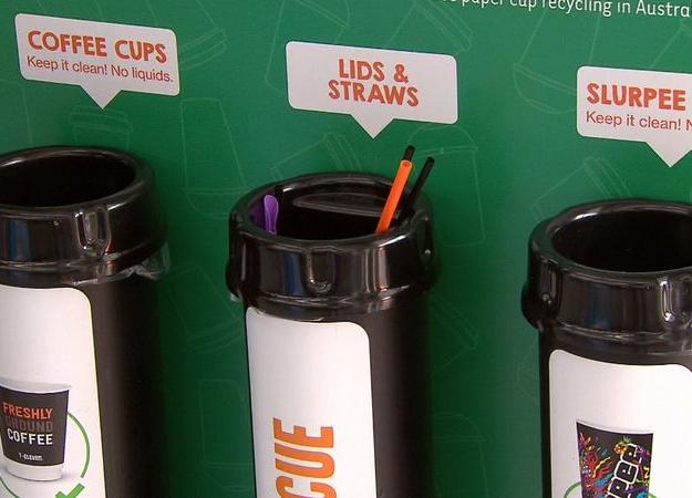 Сеть австралийских магазинов запустила переработку пластиковых трубочек