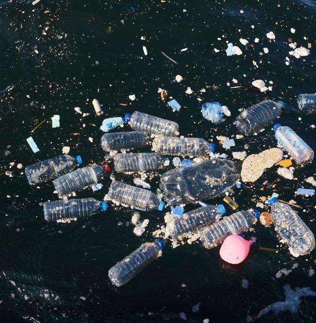 Пластик составляет 95% мусора в Баренцевом море 