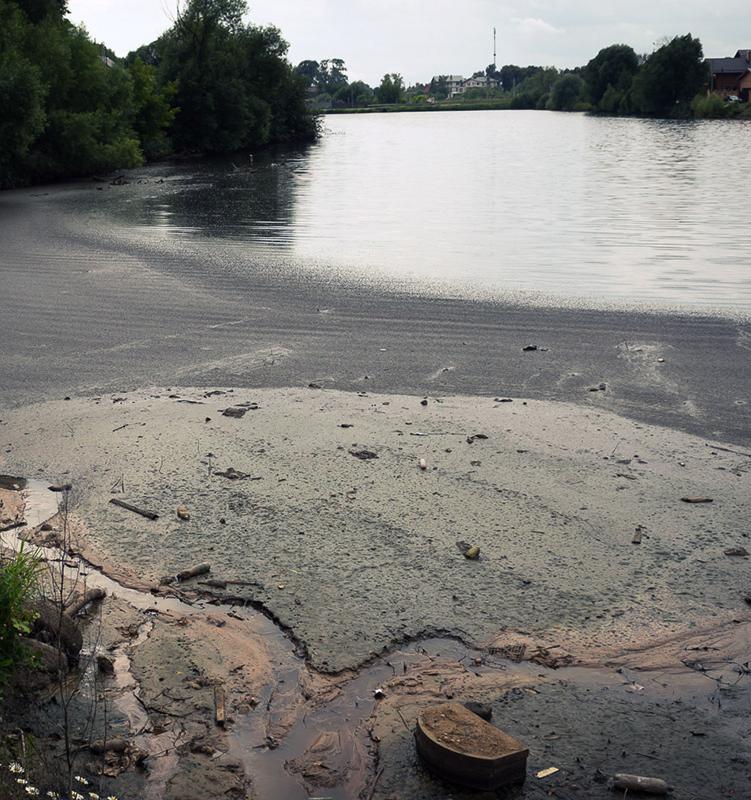 Как жители Новой Москвы спасают реку и пруд от вредных выбросов