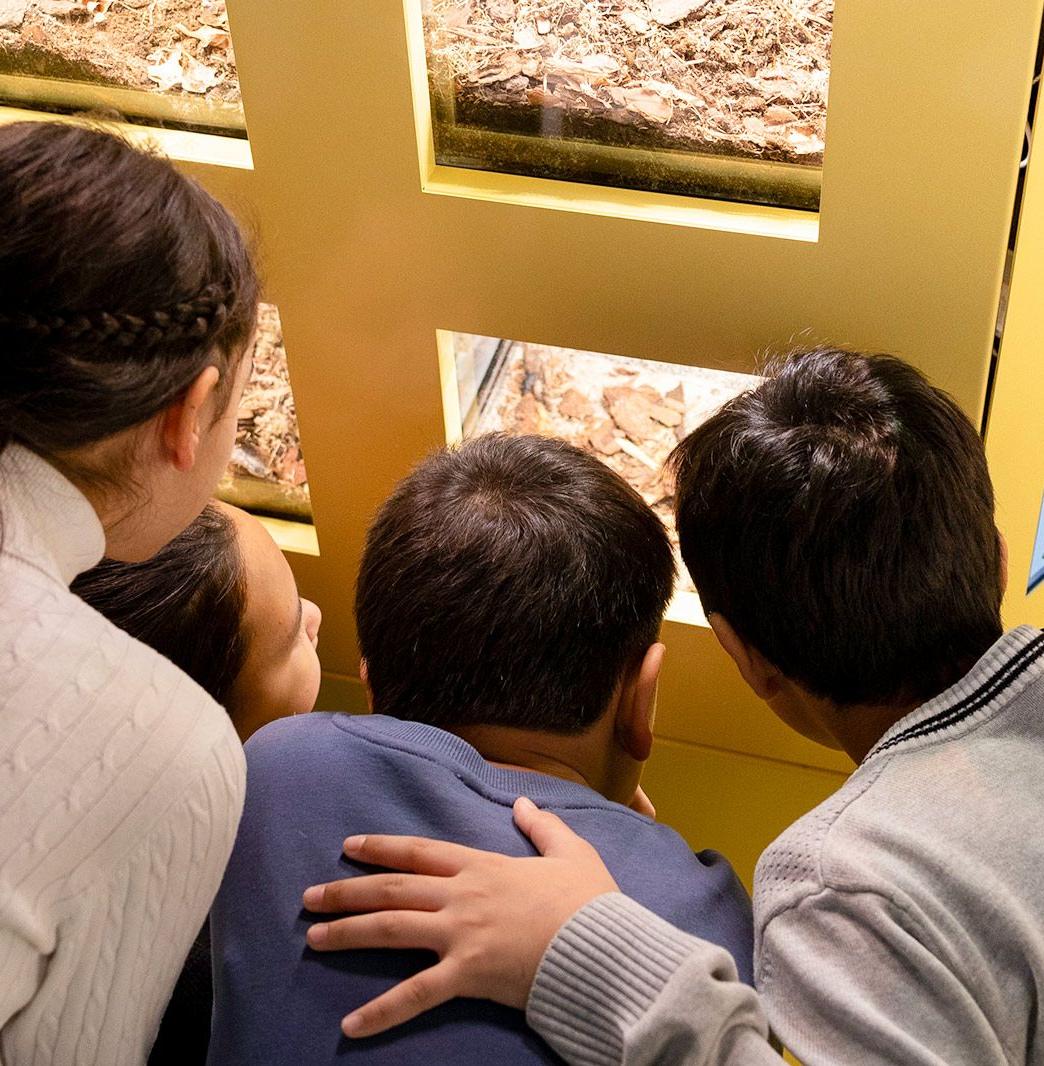 Школьников приглашают изучить микромир насекомых Москвы 