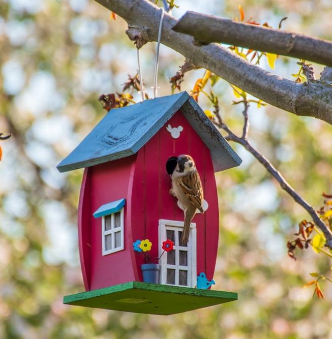 Орнитологи призвали отказаться от кормушек для птиц весной 