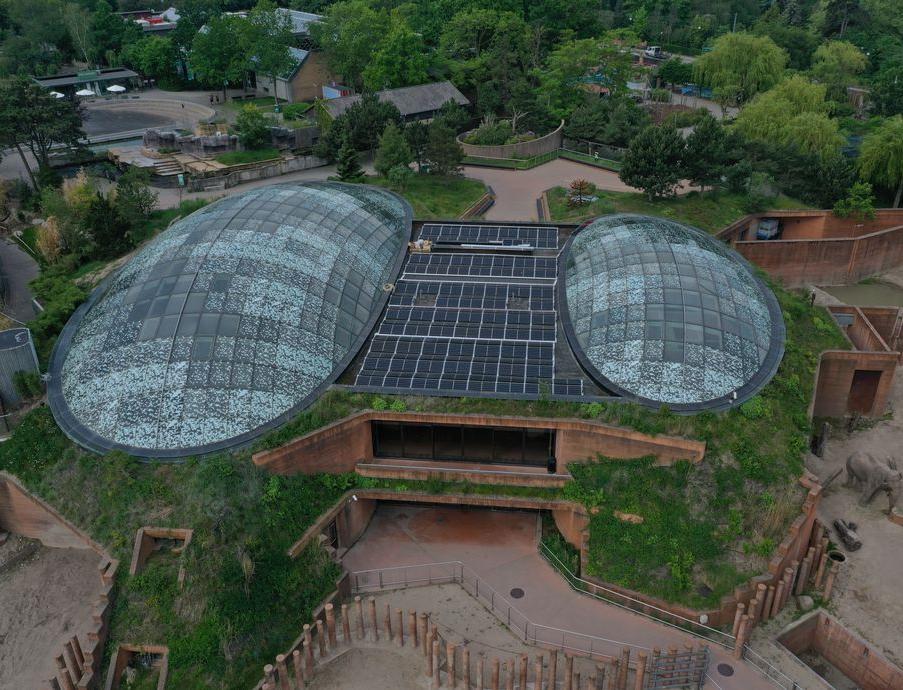 Зоопарк Копенгагена полностью перешел на солнечную энергетику