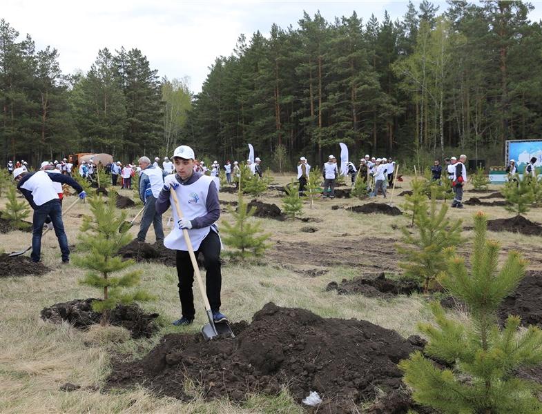 «РУСАЛ» высадит более миллиона деревьев на территории России