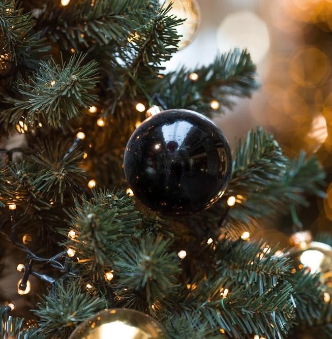 Как выбрать правильную новогоднюю ёлку? 