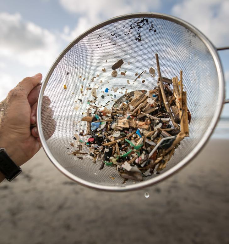 6 новостей о том, как микропластик влияет на наше здоровье и окружающую среду
