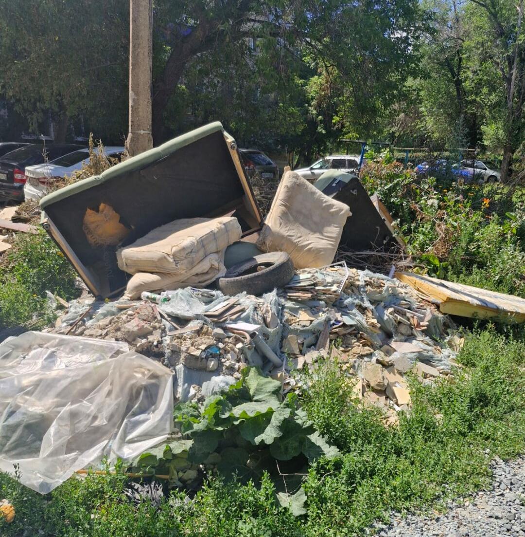 В Оренбургской области завалили мусором аллею, посаженную детьми