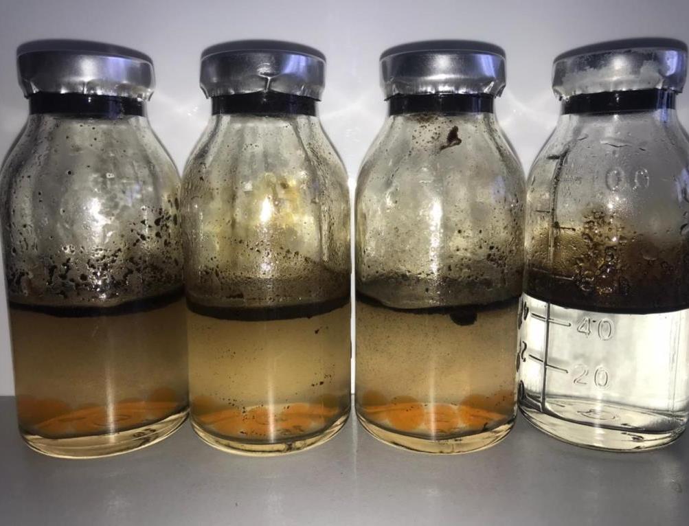 Новый препарат томских ученых очистит водоемы Коми от нефти