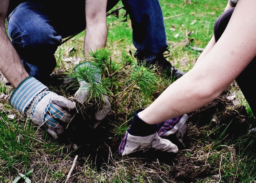 Timberland подарит сертификаты участникам Дня Земли в Сокольниках
