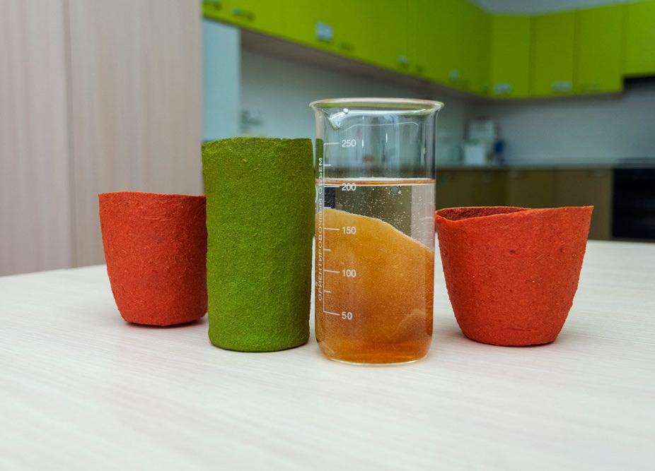 Самарские ученые изобрели стаканы из яблочного пюре