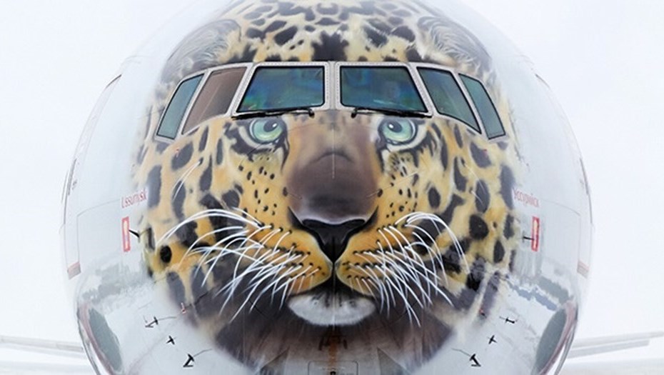 Авиакомпания «Россия» раскрасила самолеты в честь Года экологии