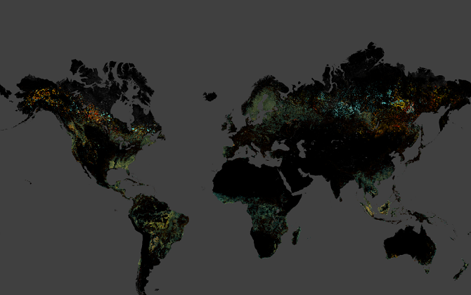 Google выпустил карту вырубки лесов