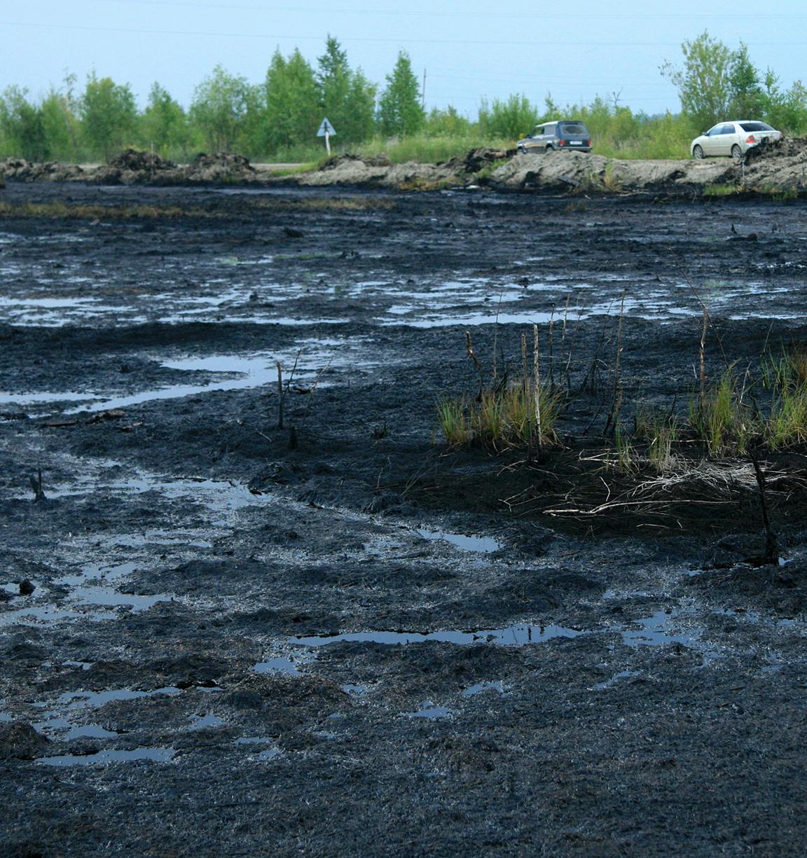 Пермские ученые нашли способ восстановить почвы после загрязнения нефтепродуктами