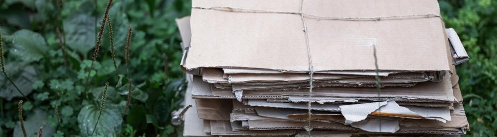 Как жители Москвы могут сократить использование бумаги 