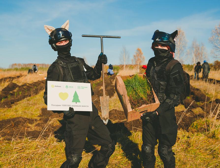Российские волонтеры восстановили 60 га леса этой осенью